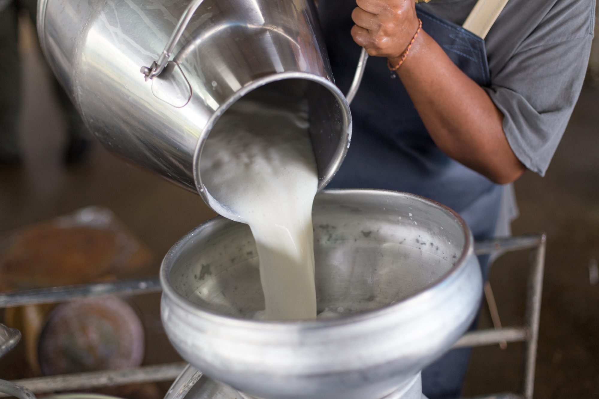 Worker,Pouring,Milk,Into,A,Container,For,Transform.